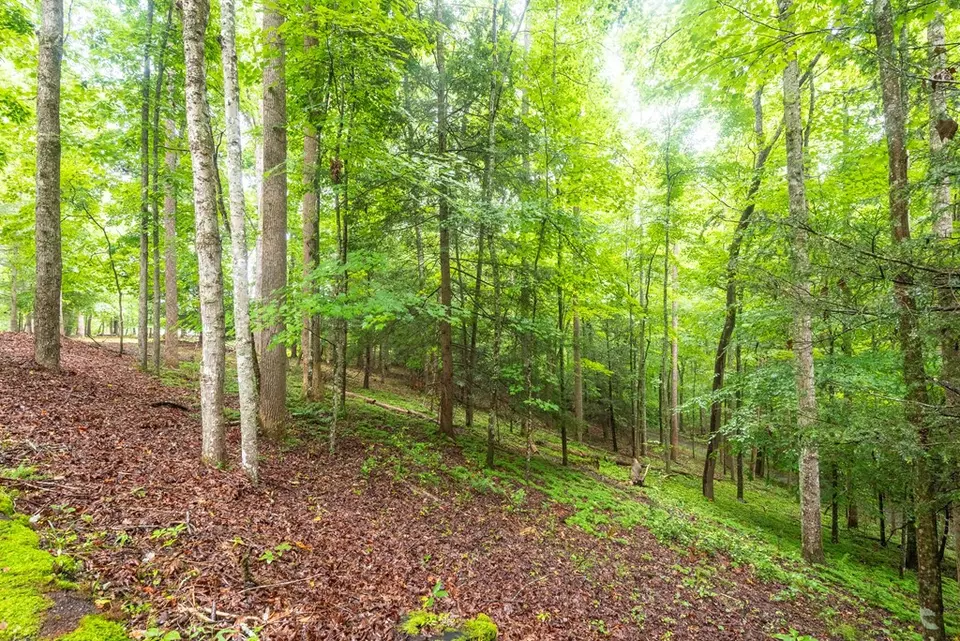 Exterior - 495 495 Moonshadow Trl, Haysi, VA 24256 photo 11 of 18