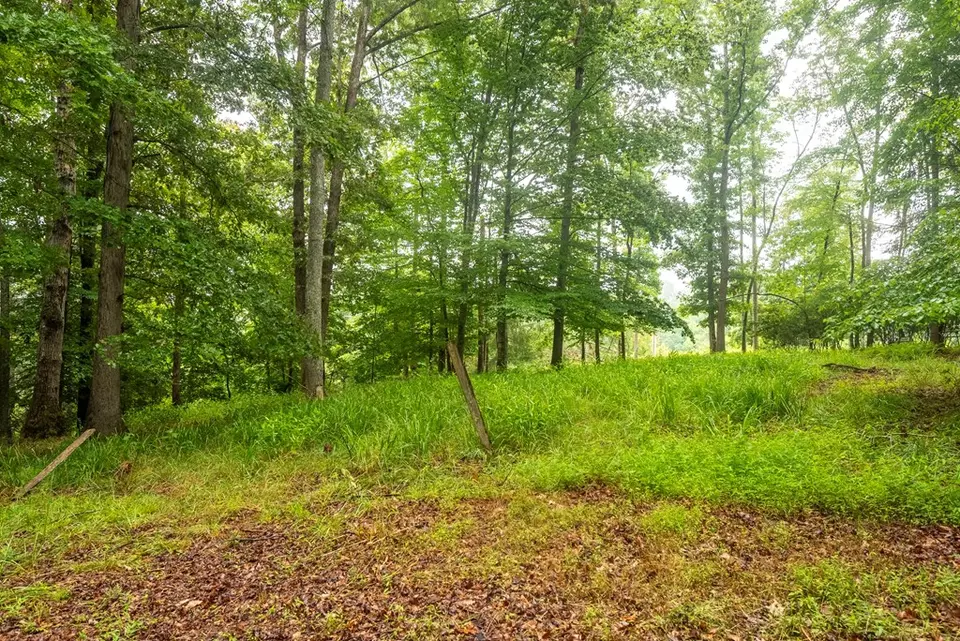 Exterior - 495 495 Moonshadow Trl, Haysi, VA 24256 photo 13 of 18