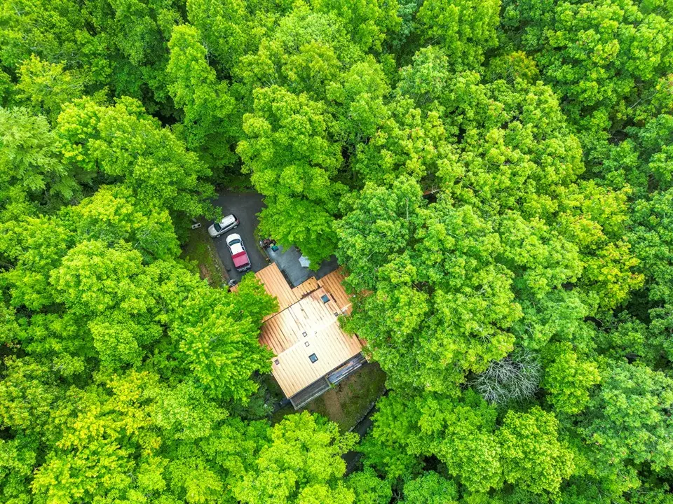 View/Area - 495 495 Moonshadow Trl, Haysi, VA 24256 photo 1 of 2