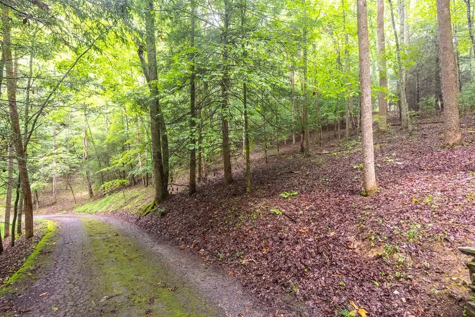 Exterior - 495 495 Moonshadow Trl, Haysi, VA 24256 photo 12 of 18