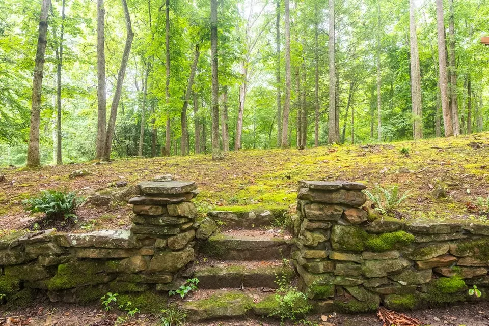 Exterior - 495 495 Moonshadow Trl, Haysi, VA 24256 photo 8 of 18