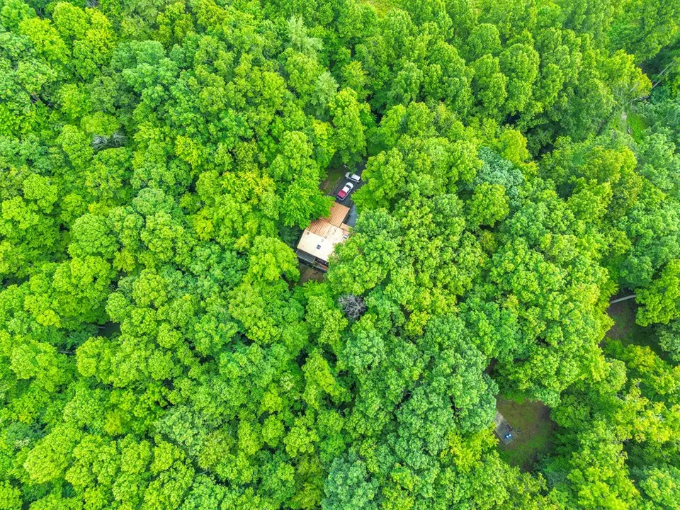 View/Area - 495 495 Moonshadow Trl, Haysi, VA 24256 photo 2 of 2