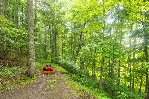 Other - 495 495 Moonshadow Trl, Haysi, VA 24256 photo 1 of 9