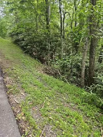 lot E24 Otter Creek Trl, Fancy Gap, VA 24328