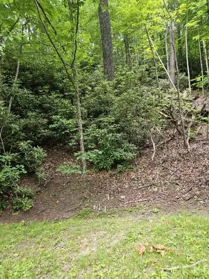 F-16 Otter Creek Trail, Fancy Gap, VA 24328