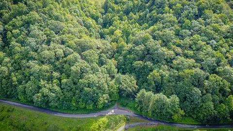 tbd Lynn Springs Rd, Swords Creek, VA 24649