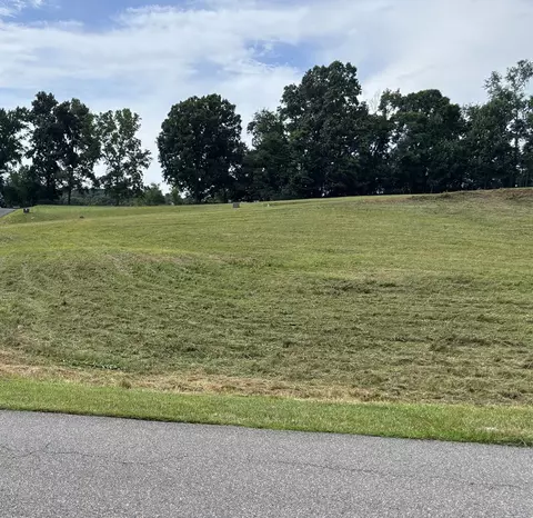 tbd Chestnutwood Dr, Chilhowie, VA 24319