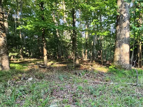 lot8 Apache Trl, Fancy Gap, VA 24328 photo 3
