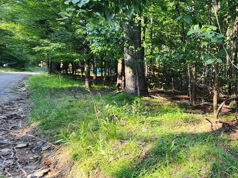 lot8 Apache Trl, Fancy Gap, VA 24328
