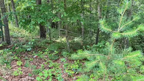 lot48 Honey Maple Trl, Austinville, VA 24312