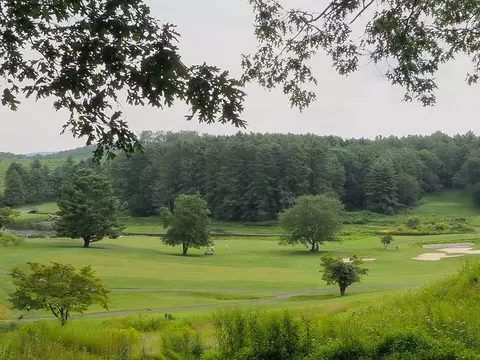 View/Area - 19 Lone Oak Ct, Laurel Fork, VA 24352 photo 3 of 7