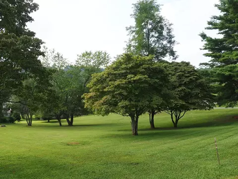 Exterior - 19 Lone Oak Ct, Laurel Fork, VA 24352 photo 5 of 12