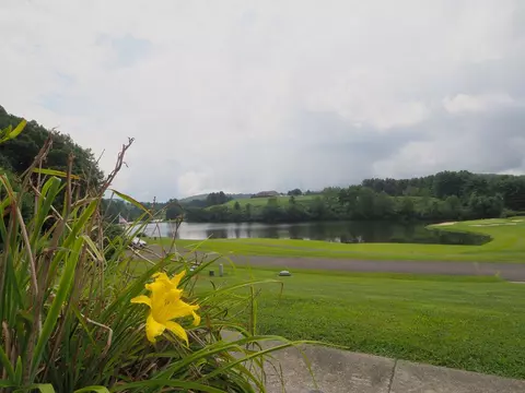 View/Area - 19 Lone Oak Ct, Laurel Fork, VA 24352 photo 1 of 7