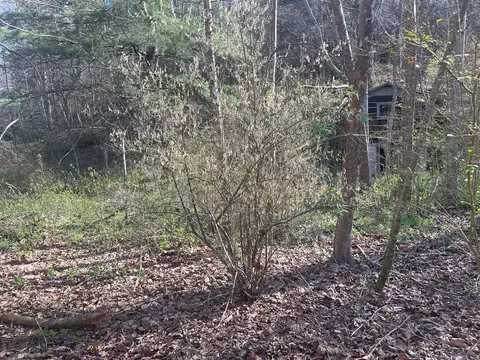 tbd Drill Rd, Honaker, VA 24260 photo 9