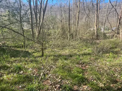 tbd Drill Rd, Honaker, VA 24260 photo 7