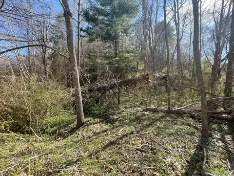 tbd Drill Rd, Honaker, VA 24260 photo 8