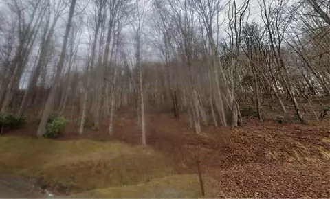 tbd N Angle Ave, Lebanon, VA 24266