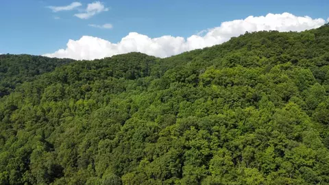 tbd Nanny Branch Rd, Grundy, VA 24614