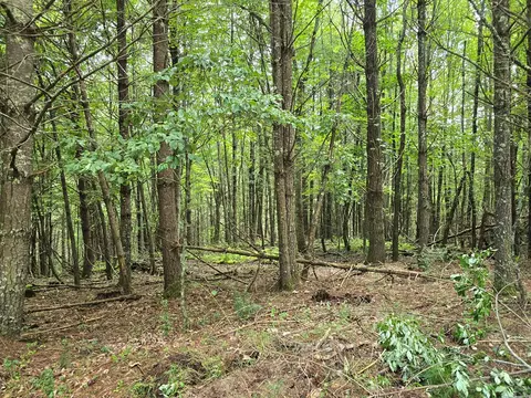 tbd Summerset Dr, Independence, VA 24348 photo 8