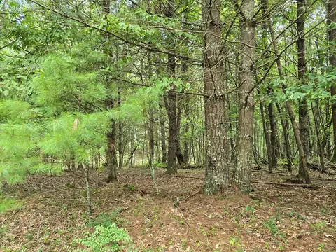 tbd Summerset Dr, Independence, VA 24348 photo 9