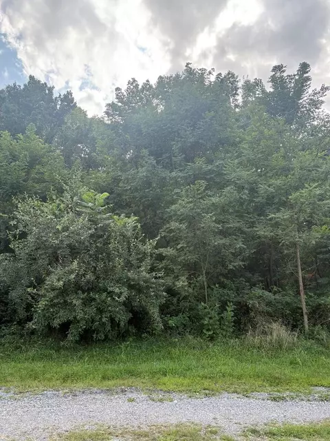 6946 Wilderness Rd, Dublin, VA 24084