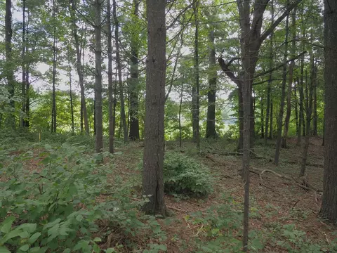 tbd Lone Oak Ct, Laurel Fork, VA 24352 photo 7