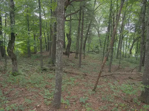 tbd Lone Oak Ct, Laurel Fork, VA 24352 photo 6