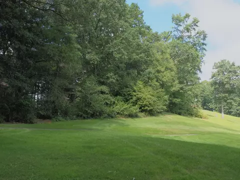 tbd Lone Oak Ct, Laurel Fork, VA 24352 photo 3