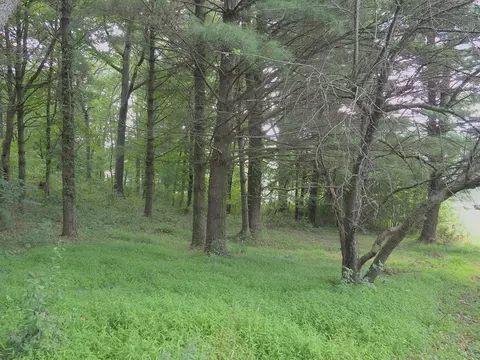 tbd Lone Oak Ct, Laurel Fork, VA 24352 photo 8