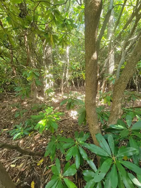 tbd Edgeview Dr, Meadows Of Dan, VA 24120