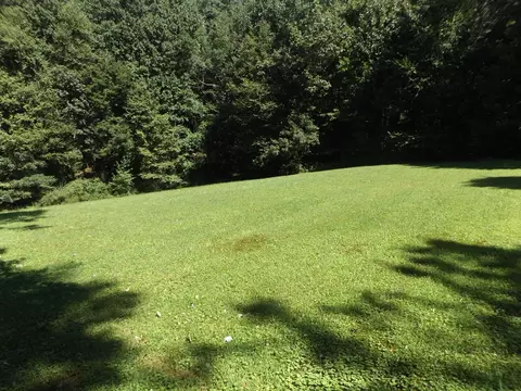 Exterior - 291 Laurel Fork Rd, Laurel Fork, VA 24352 photo 7 of 16