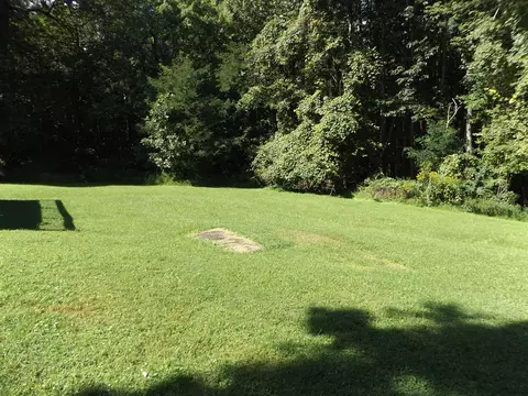 Exterior - 291 Laurel Fork Rd, Laurel Fork, VA 24352 photo 8 of 16