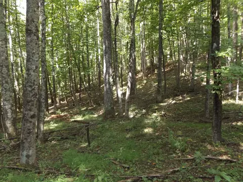 Exterior - 291 Laurel Fork Rd, Laurel Fork, VA 24352 photo 15 of 16