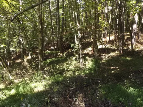 Exterior - 291 Laurel Fork Rd, Laurel Fork, VA 24352 photo 12 of 16