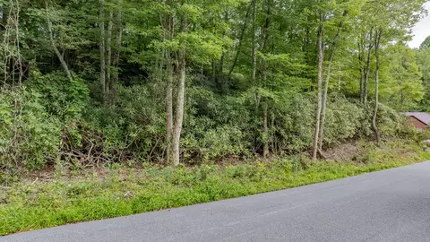 tbd Azen Rd, Damascus, VA 24236 photo 2
