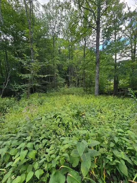 tbd Lost Lake Rd, Troutdale, VA 24378