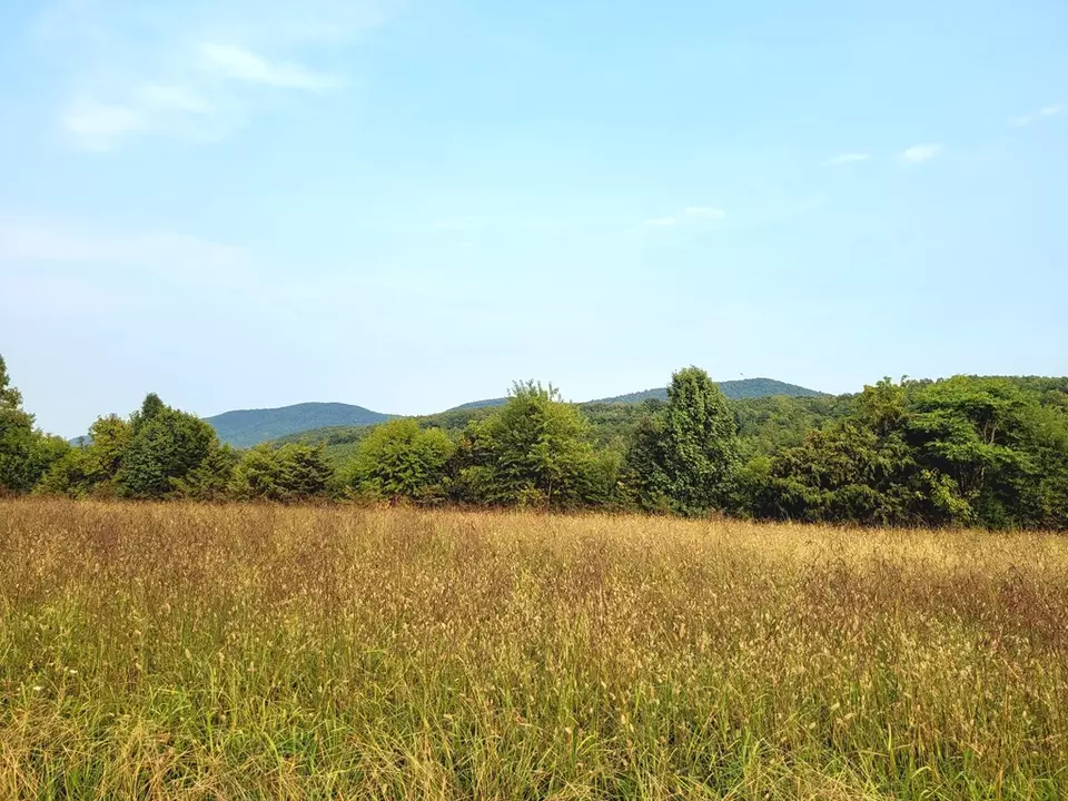 Other - 3417 Virgil H Goode Hwy, Rocky Mount, VA 24151 photo 2 of 12
