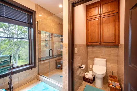 Bath - 1205 Stone Mountain Rd, Laurel Fork, VA 24352 photo 6 of 7