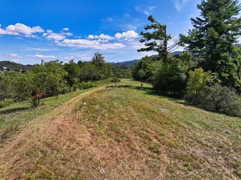 tbd Willow Springs Rd, Cedar Bluff, VA 24609 photo 9