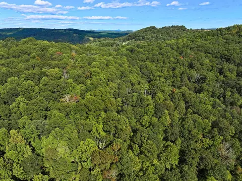 tbd White Pine Dr, Ennice, NC 28623 photo 15