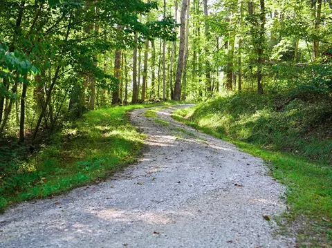 tbd White Pine Dr, Ennice, NC 28623 photo 5