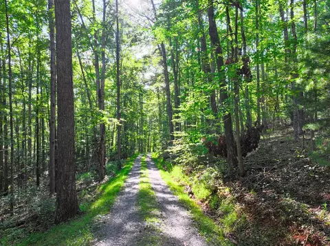 tbd White Pine Dr, Ennice, NC 28623 photo 23