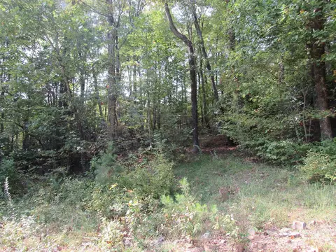 tbd Tbd Falcon Rdg, Fancy Gap, VA 24323 photo 6