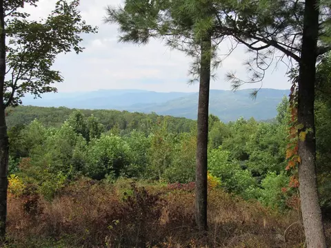tbd Tbd Falcon Rdg, Fancy Gap, VA 24323 photo 8