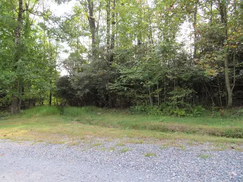 tbd Tbd Falcon Rdg, Fancy Gap, VA 24323 photo 4