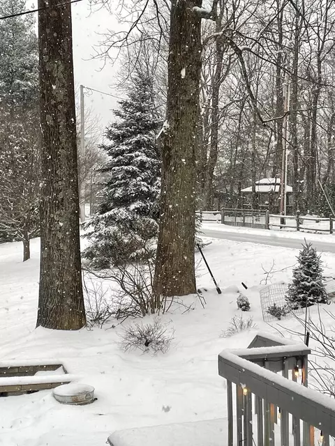 Exterior - 727 Cascade Trl, Fancy Gap, VA 24328 photo 13 of 26
