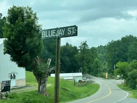 Other - 199 Bluejay St, Cedar Bluff, VA 24609 photo 5 of 9