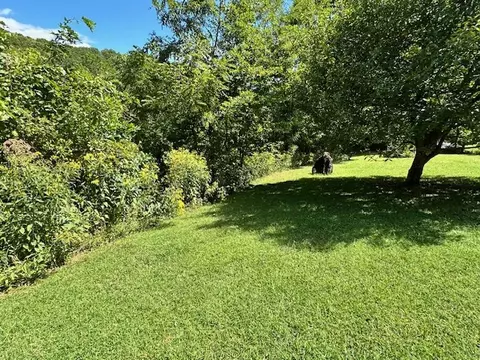 Exterior - 199 Bluejay St, Cedar Bluff, VA 24609 photo 11 of 14