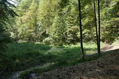 tbd Upper Possum Crk, Gate City, VA 24251