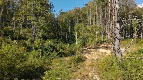 lot1 Twin Falls Rd, Copper Hill, VA 24079